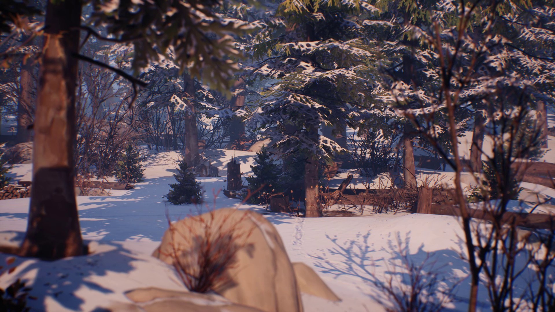 Life is Strange 2 - Episodio 2